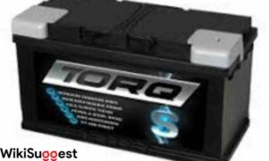 How to check if the e38 BMW battery can not recharge