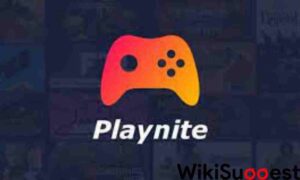 how to rest playnite