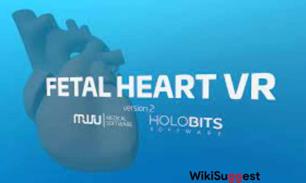 Fetal Heart VR